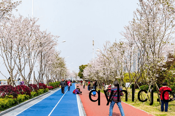 MMA綵(cai)色防(fang)滑(hua)路麵